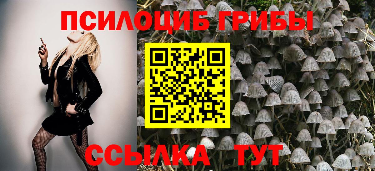 Реутов  Псилоцибиновые грибы прущие грибы  Псилоцибиновые грибы ЛСД  Вход с VPN 